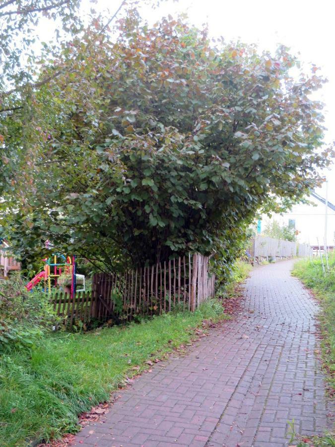 Sonnige Fachwerkwohnung Alfter Exterior foto